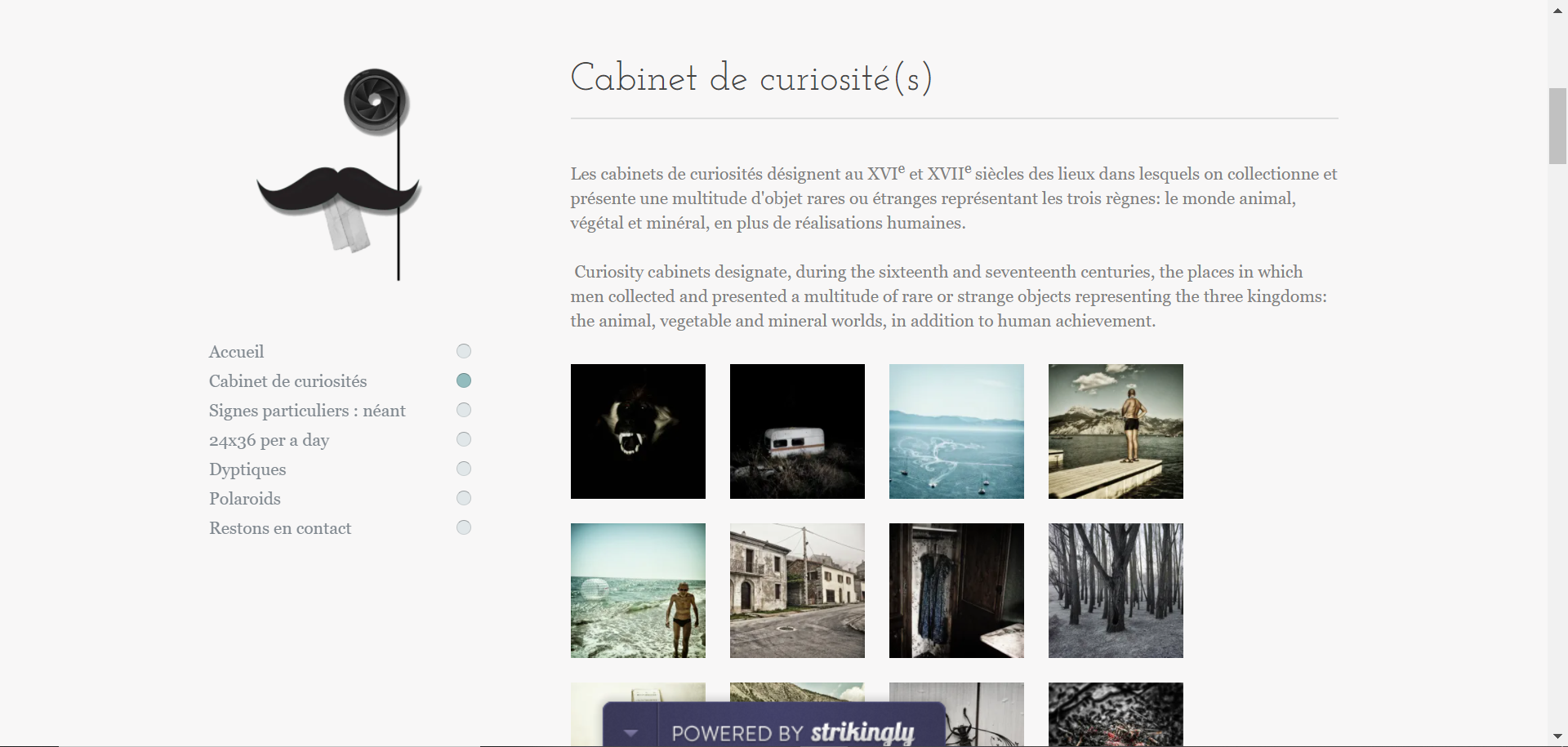 Strikingly用戶範例 Strikingly用戶範例
